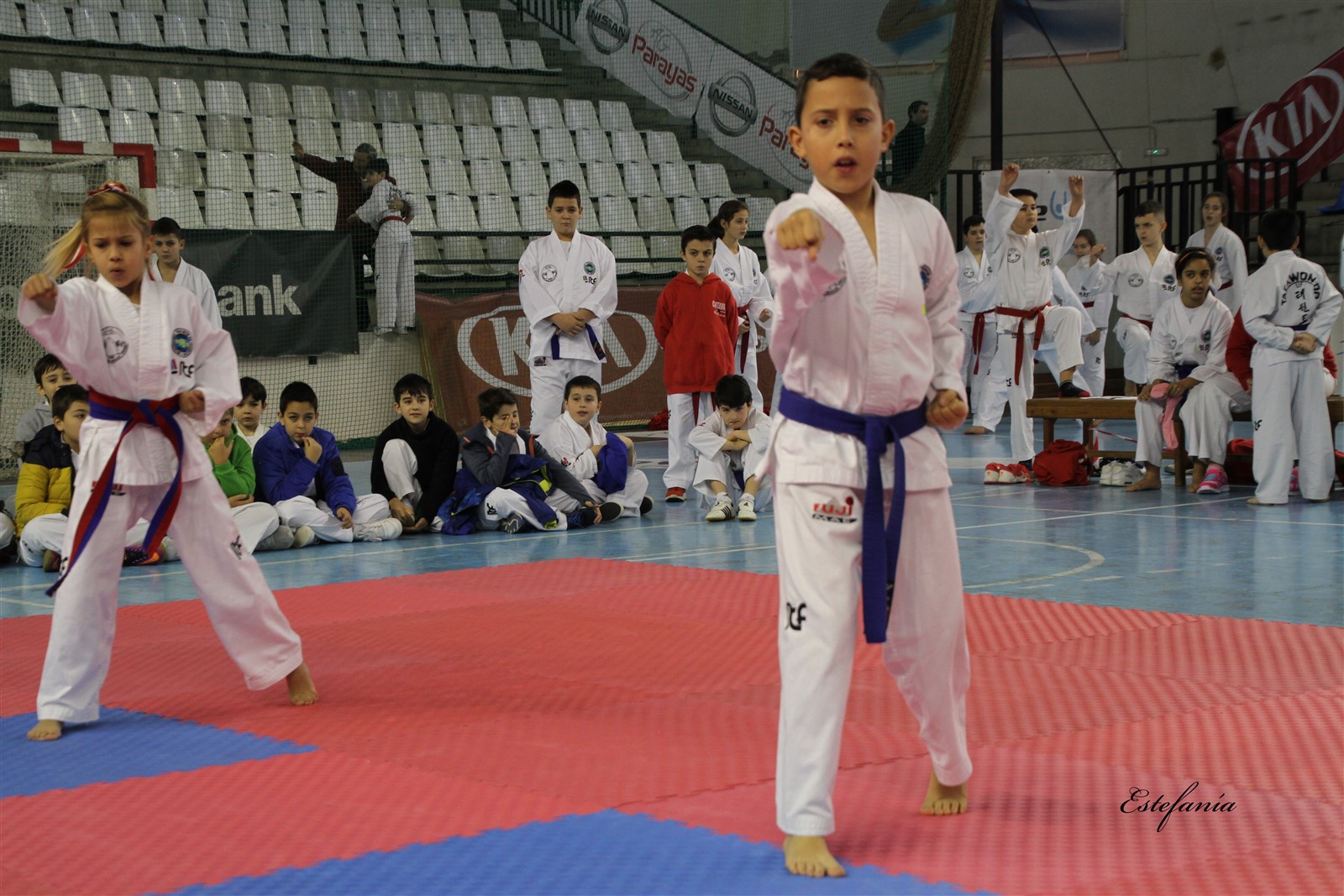 Taekwondo (158).jpg
